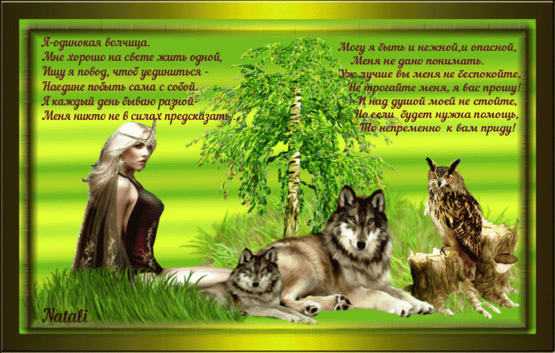 -волчица (2)