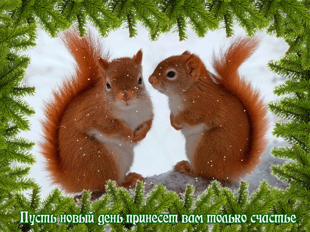 http://gifq.ru/wp-content/uploads/2015/04/belochki-1024x768.gif