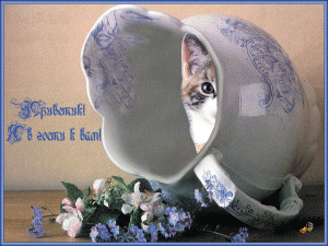 котик-очищ.gifнов-с-над