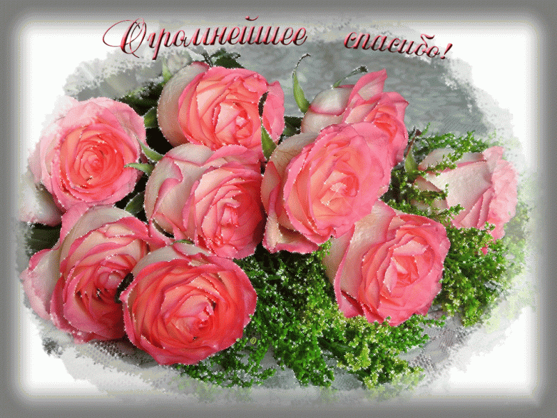 -спасибо