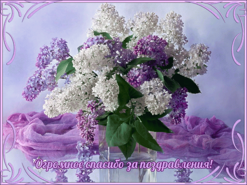 спасибо.gif